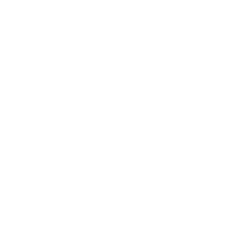 Light icon